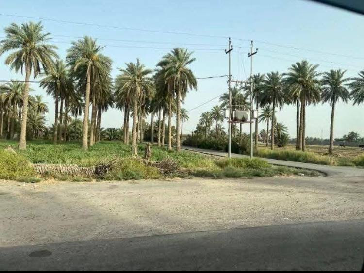 🔥 عرض مميز وفرصة استثمار حقيقية 🔥
للبيع 17 دونم بقرب السكن، تباع تقطيع حسب الطلب ✨
📍 قريبة من السكن والمدارس
💧⚡ مخدومة بالكامل (ماء + كهرباء)
🏡 تصلح دار استراحة أو بيت سكن أو مشروع استثماري
📐 موقع مرتب وقابل للتقسيم حسب رغبتك
جنس العقار طابو  سند 25
وجهه الدونم الواحد 41ونص ونزال 60 
📍 العنوان: بغداد – التاجي – الشيخ عامر – ذراع دجلة
📞 للاتصال: *********** 
📲 متوفر واتساب
#بغداد
#التاجي
#ذراع_دجلة
#الشيخ_عامر
#اراضي_للبيع
#دوانم
#استثمار
#عقار_بغداد
#بيع_اراضي
#فرص_ذهبية
