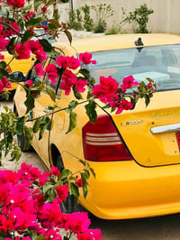 اليفان 620 • محرك مضبوط • ستيرن ثقيل