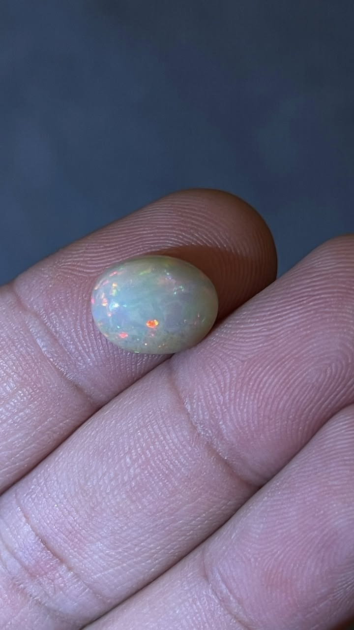 حجز اوبال فول فاير التصوير ضالمها  وعندي فيديو الها سعر 25


**إذا كنت صاحب هذا الإعلان وتريد حذفه لأي سبب، رجاءا أرسل رسالة إلى الدعم الفني**