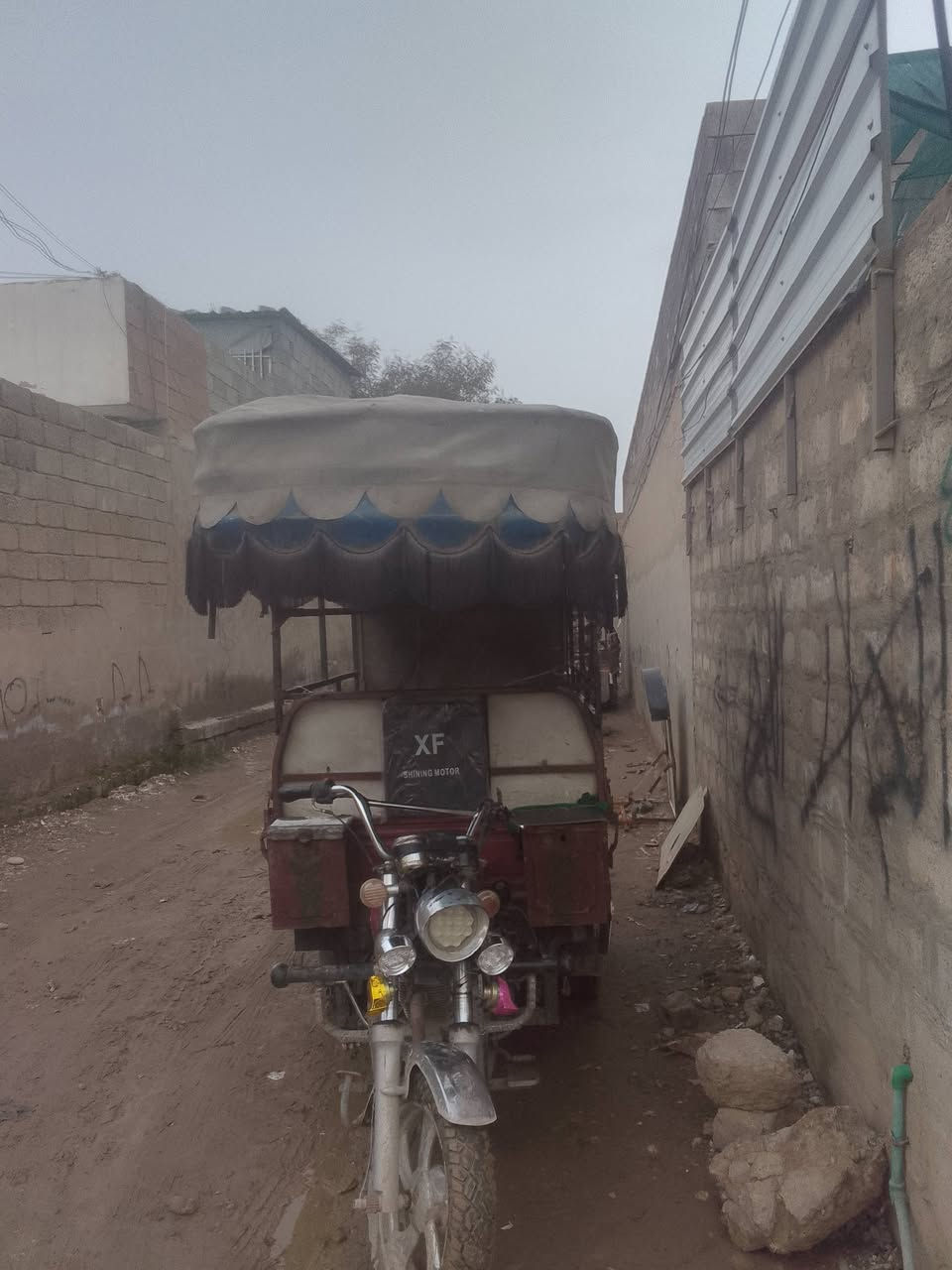 السلام عليكم محجل للبيع 75
***********
