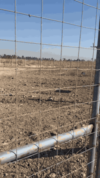 اللهم صلي على محمد وآل محمد
📌 قطعة مساحه 0️⃣ 0️⃣ 1️⃣0️⃣ زراعي 

📌مسيجه prc  

📌 مدفونه وكامله 

📌 خدمات موجوده وشوارع كلهه مخدومه وعريضه

1️⃣ 5️⃣ 

📍 عنوان :

خنيطله_خلف بيوت سيد مصطفى _ مقابيل شارع الصب 

💵السعر ( ٦٠ وبيهه مجال)

📞***********  اتصال واتساب
