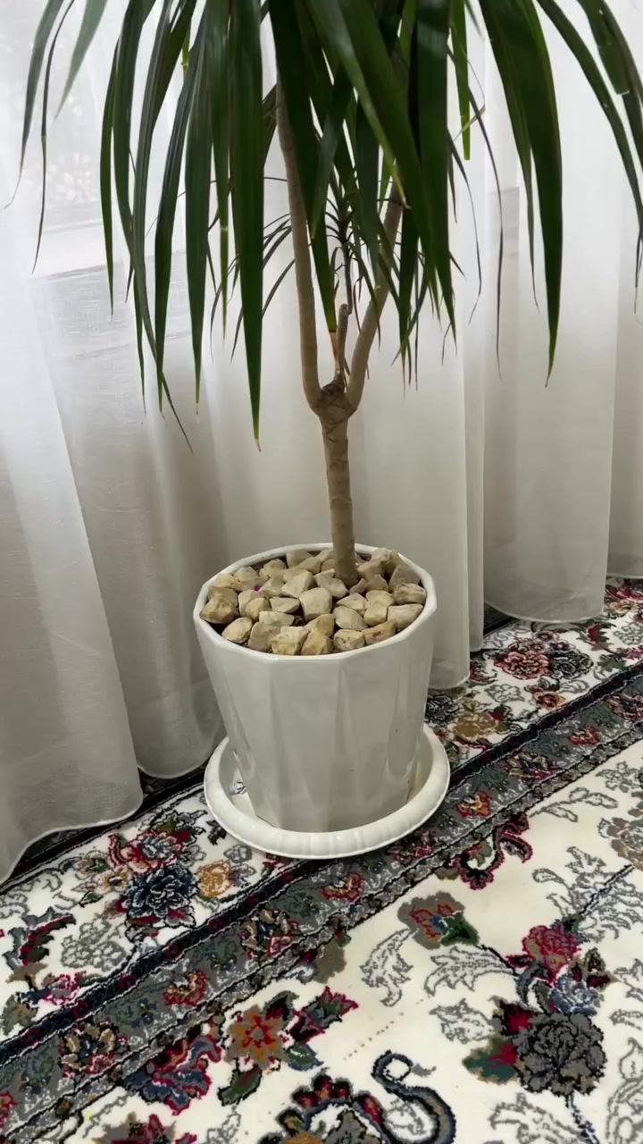 بۆ فرۆشتن
سلێمانی
***********
