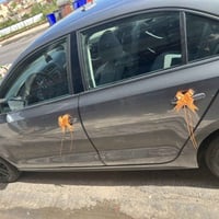 ١.٤ تيربو • ٢٠١٨ • وارد أمريكي