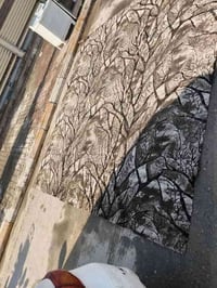 تكريت القادسيه • كنابير كاشان ايراني • نضافه فول