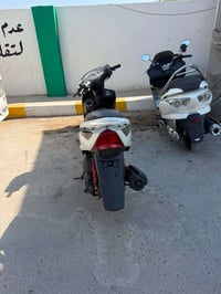 ثعلب للبيع الدراجه أخت الرمبه مكفوله كفاله عامه شلعه ومعدل شرط شك الكا...
