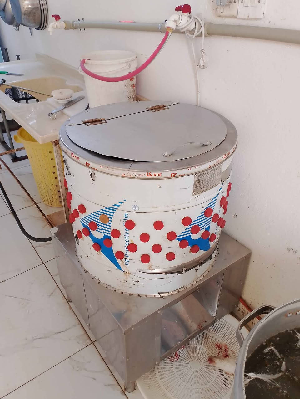 مەکینەیەکی زۆر تازەو بەقوەتە  دەتوانیت 4 مریشکی تێبکەیت السليمانية, العراق


**إذا كنت صاحب هذا الإعلان وتريد حذفه لأي سبب، رجاءا أرسل رسالة إلى الدعم الفني**