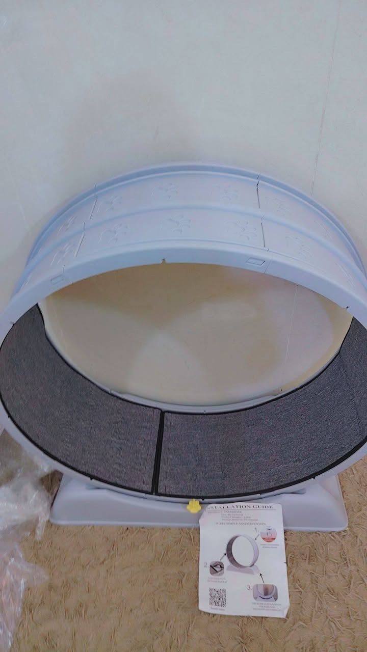 دولاب قطط؛؛؛ 20الف


**إذا كنت صاحب هذا الإعلان وتريد حذفه لأي سبب، رجاءا أرسل رسالة إلى الدعم الفني**