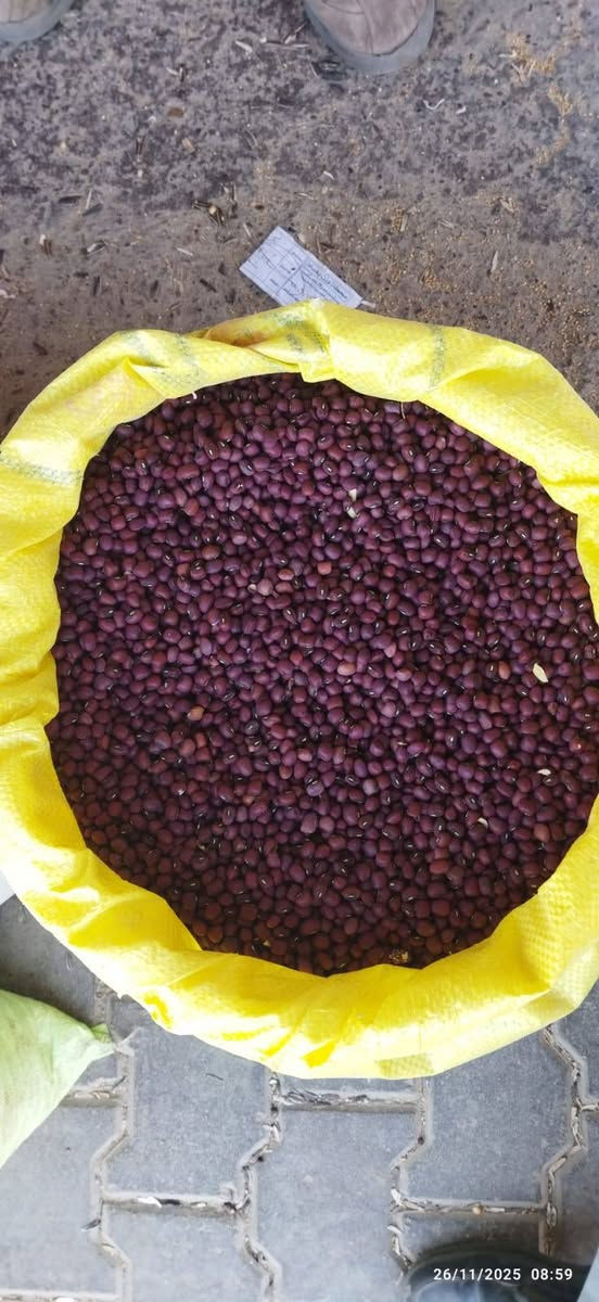 حبوب يابسات متنوعة متوفرة الآن.
للطلب والحجز يرجى الاتصال على الأرقام التالية:
***********
***********
الأسعار مناسبة.
