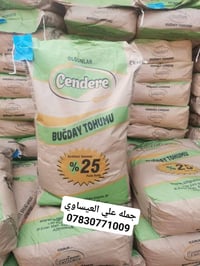 بذور حنطه • صنف مبكر • إنتاج ٢٠٢٤