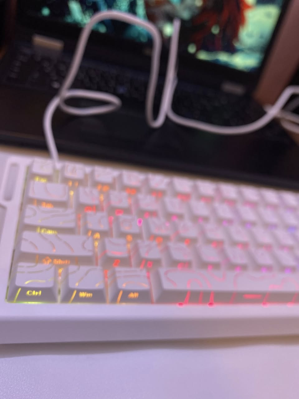 Attack shark x68he والسعر انسب سعر بالسوك 
مغناطيسي وايت اسويتج 
.
كي كابس موشم احرف جانبيه
.
Rgb متعدد الانماط قابل للسوفت وير
مع كامل الملحقات 
💯سرعة استجابه 
كوالتي 💯
لون💯
.
كل هذا الجمال وبسعر 37 الف انسب سعر بالسوك 🔥
توصيل بغداد والمحافظات 5


**إذا كنت صاحب هذا الإعلان وتريد حذفه لأي سبب، رجاءا أرسل رسالة إلى الدعم الفني**