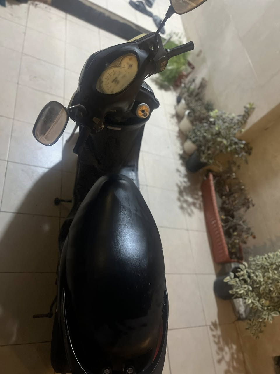 للبيع بريز ببغاء دراجه حلوه ونضيفه الصور كدامكم تايرات جديده بريكات امامي خلفي شغال لايتات عالي ناصي + لايت إضافي اشاير هورن دراجه ما بيهه نقص باتري جديد بلك جديد عداد سرعه وبانزين كله شغال دراجه ما بيهه نقص ملاحضه بيهه تبخير الدراجه على ايدي وتمشيك بعد سنه سنتين كلشي ما عليهه السعر 600 وبيهه مجال للشراي مكان بغداد العامريه ***********
