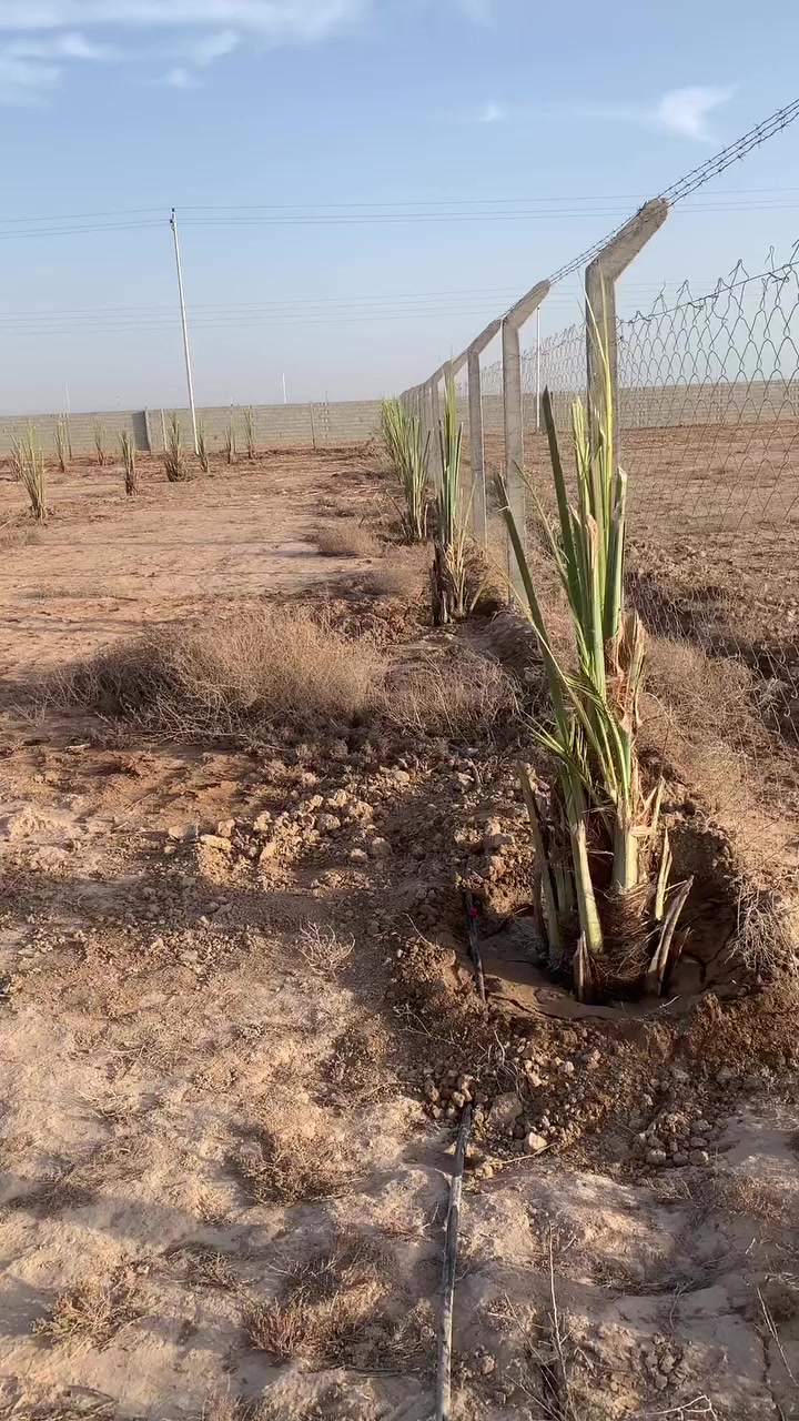 سلام عليكم 
دوانم البيع سند ٢٥
كنعان قرب المجسر الجديد منطقة ابو دغار
لاستفسار اتصل ***********
