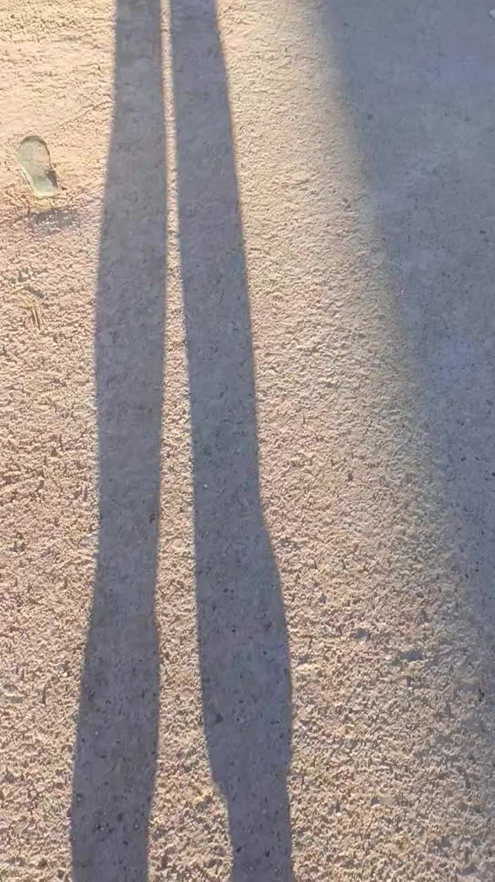 ادمن وافق ربي يوفقك 

 السلام عليكم عندي هيكل طابق واحد بيبان وشبابيك كامله شغل درجة اولى الكمالية كاع ابو علي الدراجي مقابل كاع ابو رشاد زراعي سند 25 الواجهة 5 والنزال 20 
*********** ابو مصطفى
