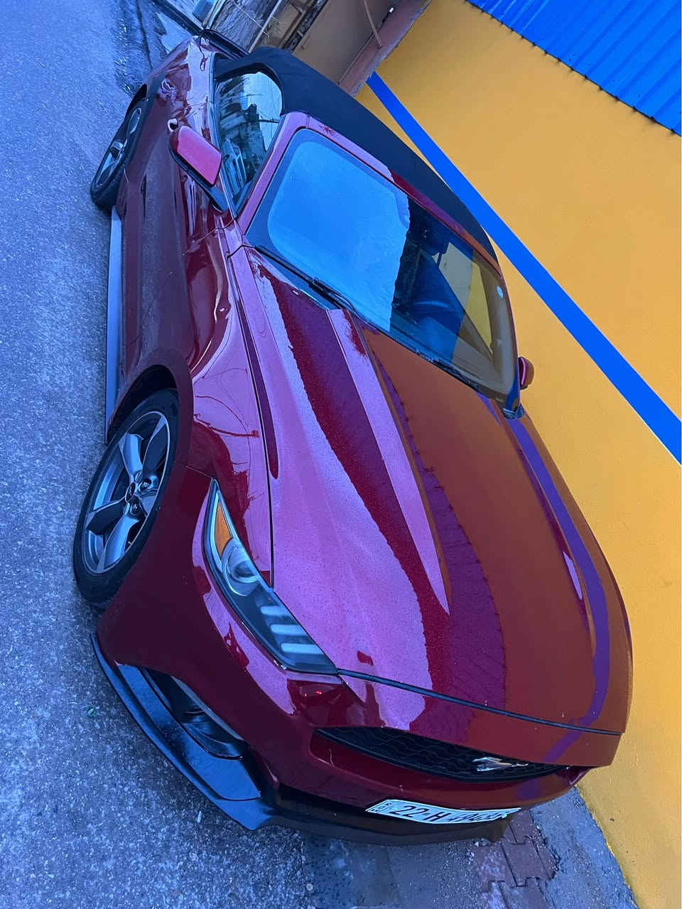 سلام عليكم 
موستانك ٢٠١٦ كشف
٦ سلندر. ٣.٧
مواصفات اعتيادي 
بصمه شاشه صغير كاميره
شفتات ستيرن
توماتيك
ابيع حيزام صبغ بدون داخل(راس شاصي واحد جوه دعاميه بيها شبر)
مكينه گير صدر كله شرط
سعر قفله ١١٨ ورقه و ماكو هيج سعر
اراوس حسب قناعه
كشف شغال و مابيها شي

سڵاو نرخی خوار بازاڕ
مۆستانگ ٦ بستۆن
تۆماتیک
گێڕسوکان
کامیرە وبەسمەوشاشە بچوک
بە حیزام ئەیفرۆشم
ناوگرتنی نیە(سەرە شاسی لای سەکن پەڵەیەک بۆیاخی هەیە لە ژێر دەعامیەکە
نرخی ١١٨ گەڵا قفل
ئەگۆڕمەوە بە شتێک بە دڵم بێت

***********
*********** السليمانية, العراق
