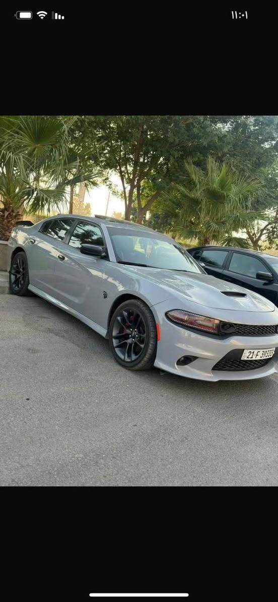 سلام عليكم
دلال جارجراات توفرت عندي كلشي كل الاوان وخليجي ومن ١٥ لل ٢٣ 

متوفر جارجرات SXT/GT/RT

حته هيلكات 

8 سنلدر و 6 سلندر  الي يدور وما لاكي موجود يمي بس دزلي مواصفات وتلكه عندي 

متوفر عندي من ١٥ لل ٢٣ جارجر جالنجر

وعندي سكات واس ار تي هيلكات كل الفئات مال جارجر وجالنجر موجود

توفرت عندي حالياً وجبه قويه اكثر من ٢٠ سياره و ٩٥٪؜ بيهن كلين واسعار مناسبه ارقام بس اربيل وسليمانيه و بغداد 

متوفر ٢٤ ساعه

تخابرني الفجر ارد عليك

للاستفسار ***********
