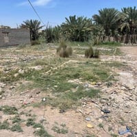 قطعة زراعي • ٦٠٠م • قضاء الرفاعي