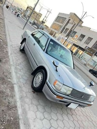 ارنب كصيف • ١٩٩٤ • رقم نجف