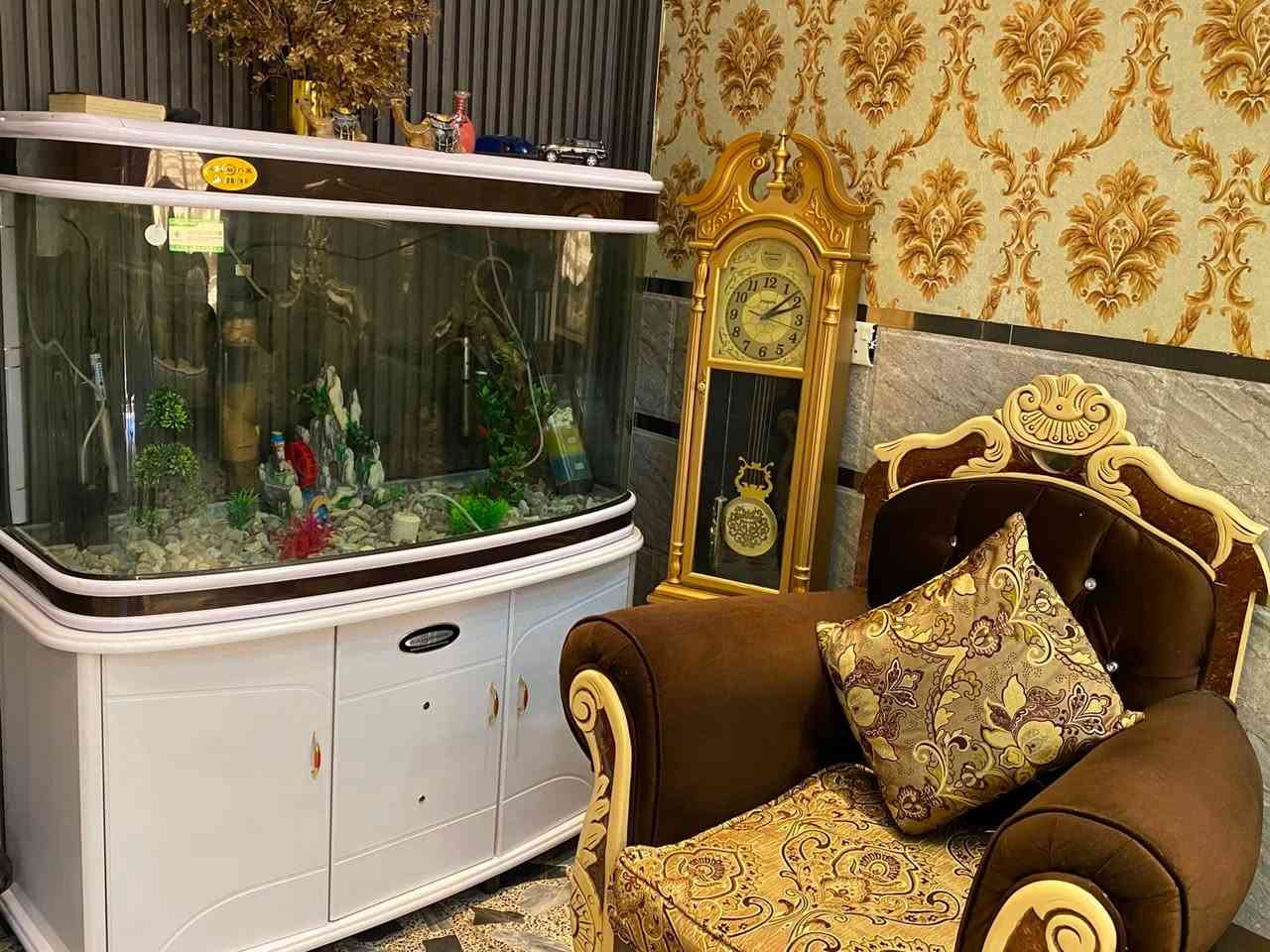 تخم ب 700 وبي مجال وياه طبلات ثنين
حوض سمك قطعتين ب 600 
العنوان بغداد الزعفرانيه 
للاستفسار الاتصال *********** 
***********
