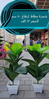 دلع بيتك • خدمة توصيل • أحلى من الصورة