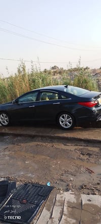 سوناته • ٢٠١١ • رقم كربلاء