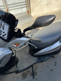 سكنس فحل مرقم بغداد 07702685123