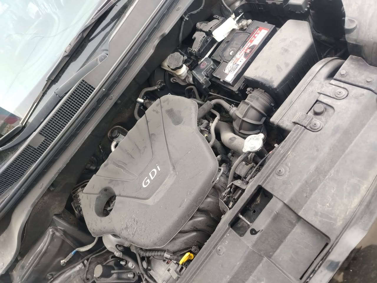 كيا موديل 2016 صبع بونيت جملخ سيار دينار مسرف مابي سنويا جديد رقم سليمانيه سيار بل كركوك قادسيه سعر 107كير اوتو محرك شرط *********** كركوك, العراق
