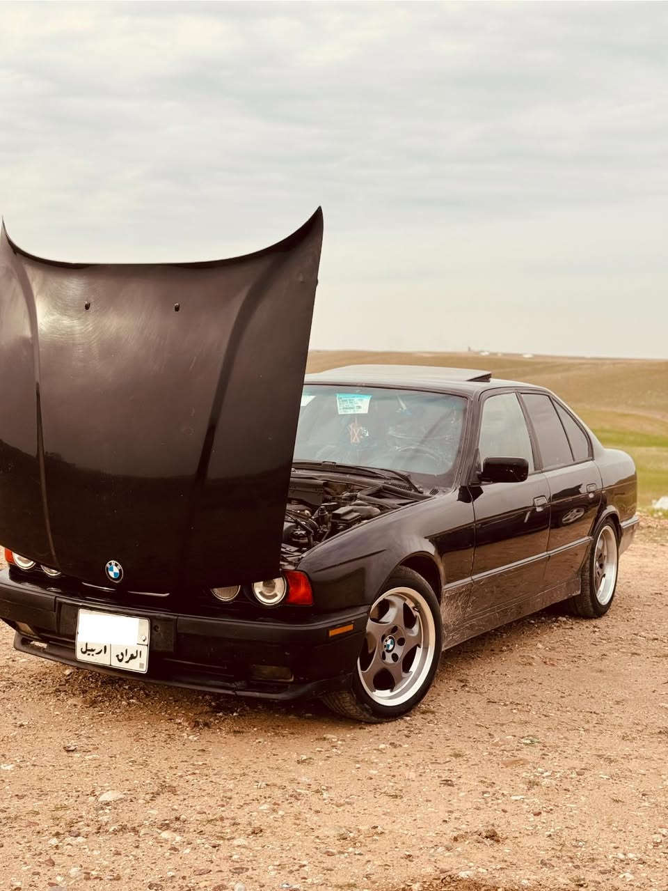 ***********
1993
525
