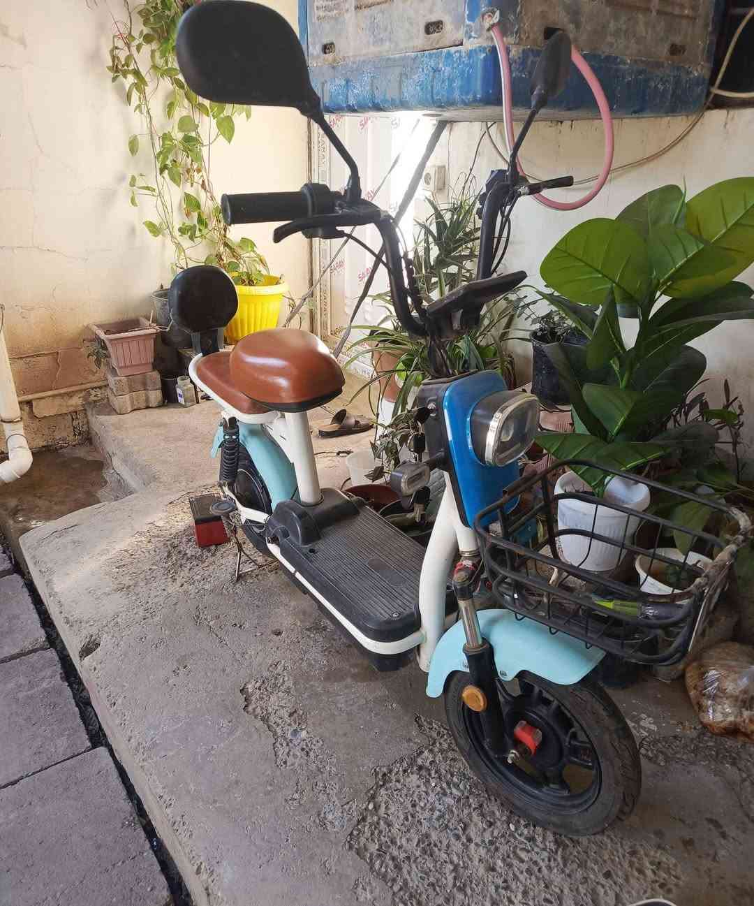 السلام عليكم دراجات للبيع الجبيره الجوزيه ايي عيب مابيها شغاله والصغيره بدون بطاريات بيع ومراوس حسب القناعه مكاني كركوك حي الاسرى والمفقودين قرب مول ماشاءالله رقمي خابرني وتئمر آمر ***********متواجد واتساب
