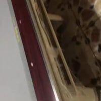 2 يلنات ميزين  خوات نضاف الاستفسار ٠٧٧١٣٣٧٥٩٥٧ أو واتساب