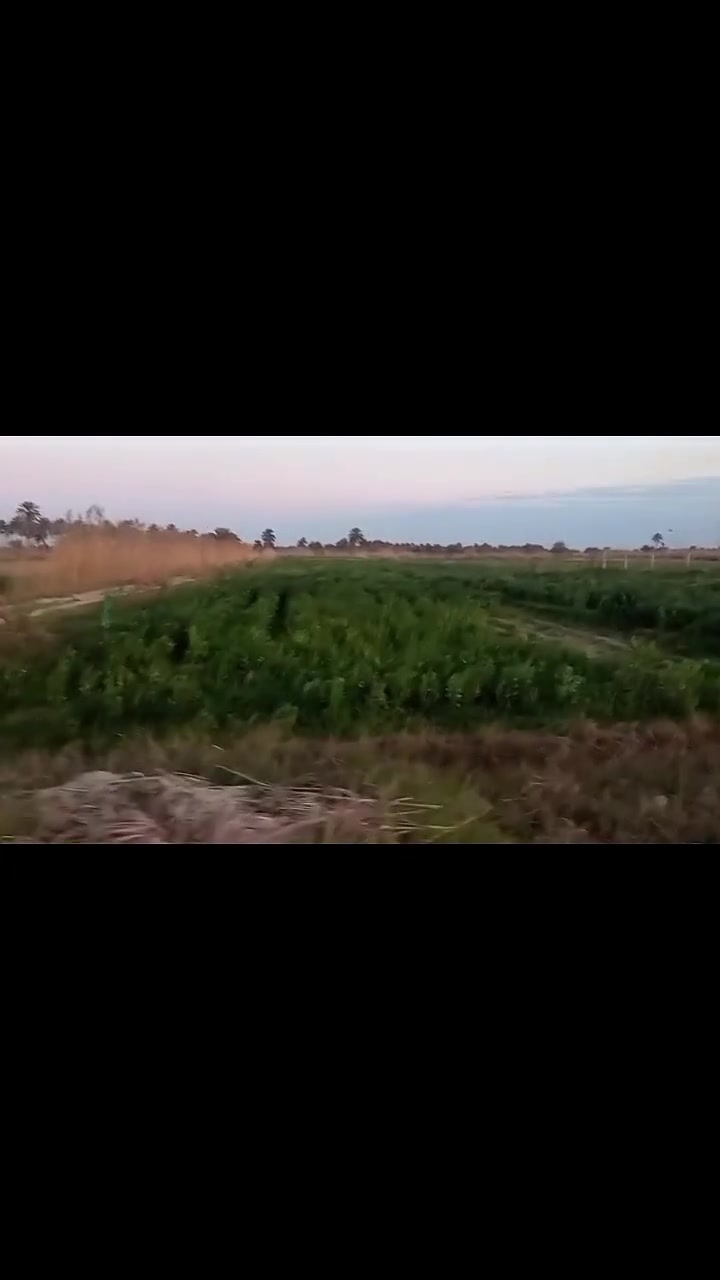 للبيع: أرض الخير.. جاهزة للزرع والإنتاج 🌱
 فرصتك الذهبية لامتلاك أرض مثالية ومستصلحة بالكامل للبناء او الزراعة والاستثمار ✨
*أرض زراعية بمواصفات ممتازة، إذا كنت تبحث عن استثمار زراعي ناجح أو بناء منزلك او انشاء مزرعة أحلامك ، فهذه الأرض هي الخيار الأفضل.
 * موقع هادئ وبعيد عن الضجيج.
* المساحه 4 دوانم و 800 متر .
* تبعد عن الشارع العام 200 متر فقط.
* الماء والكهرباء مستمرة (طوارئ) وطريقة الري مباشره (سيح) .
* الموقع محافظة كربلاء قضاء طوريج ناحيه الخيرات 
* السعر للودنم الواحد (88 مليون ) [وقابل للتفاوض للجادين]
للتواصل ومعاينة الأرض على الواقع: 
***********
***********
