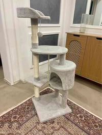 پشیلە • جديد • أربيل