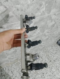 انترا • نوزلات • العلم