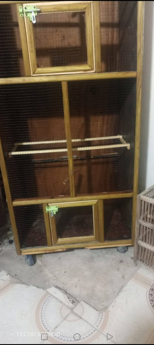 السلام عليكم قفص خانتين كبار الطول مترتين والعرض متر رجليه جروخ نضيف جدا السعر 50وبي مجال بسيط التواصل والاستفسار ع الرقم ***********

