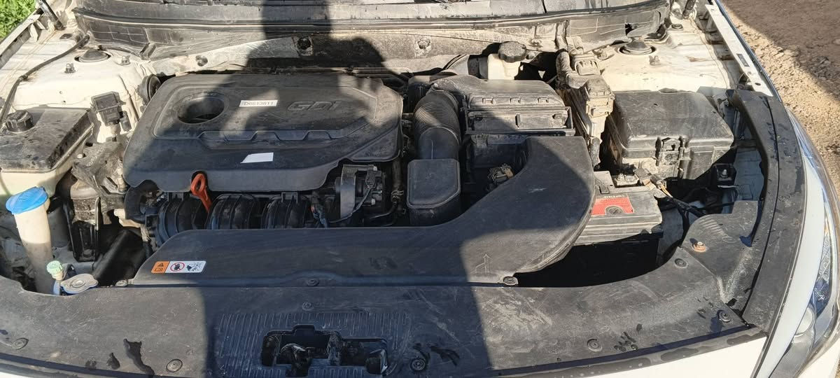 سلام عليكم سوناته موديل 17 أمريكية الرقم انبار والسعر مناسب


**إذا كنت صاحب هذا الإعلان وتريد حذفه لأي سبب، رجاءا أرسل رسالة إلى الدعم الفني**