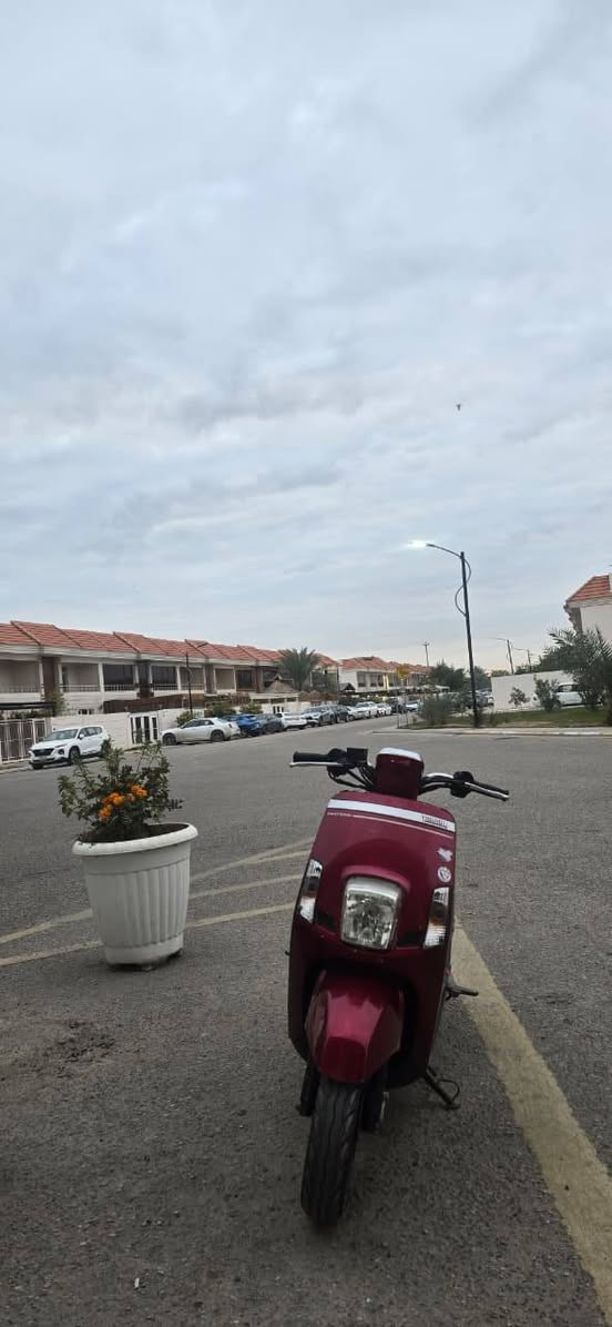 السلام عليكم بوليس مسطره نزلته حاويه صارلها 20 يوم مكاتبه عندي مكفوله كفاله عامه رقم واحد ختم واحد السعر مليون ونص 
مكاني كربلاء طويريج
***********
