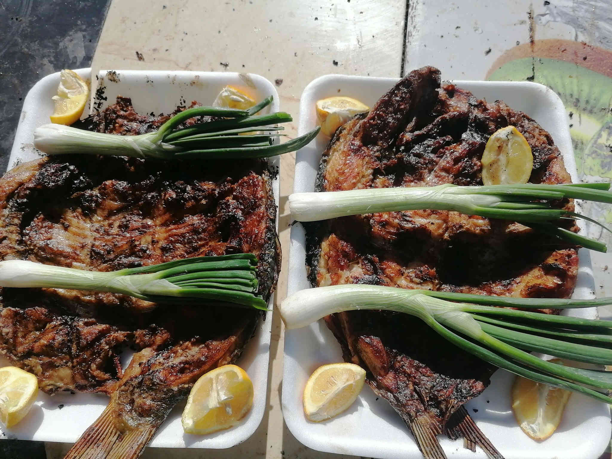 مسكوف ابو يزن لاسماك،  للطعم عنوان
سعر الكيلو 7500

المكان قرب موكز صحي
توجد خدمه توصيل.
***********
***********
نتواجد من 8صباحا الي 6مساء
