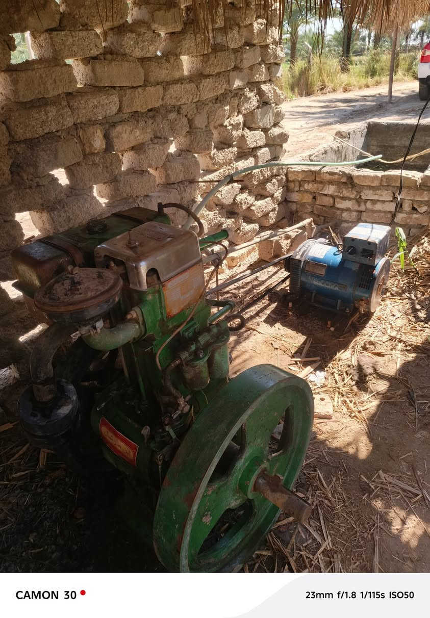 السلام عليكم
مولده ام 8 حصان راس توليد سبعه ونص 
مشتغله موسم واحد مامفتوحه جديده 
العنوان بابل شوملي قرب الدولي
الاستفسار على الرقم ***********
