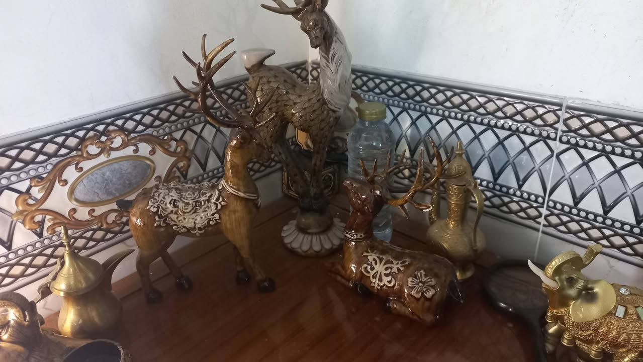 تحفيات للبيع مكاني صقلاوية حي الشهداء الثانية قرب مول ابو ياسر شارع البو سعده. ***********حياكم الله
