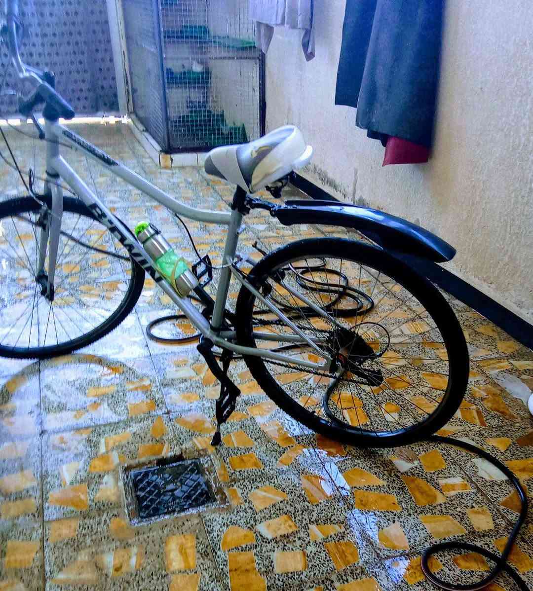 ***********
بصره حيانيه
