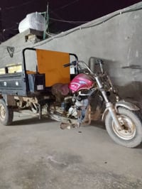 ستوته • دلفين • وصولية