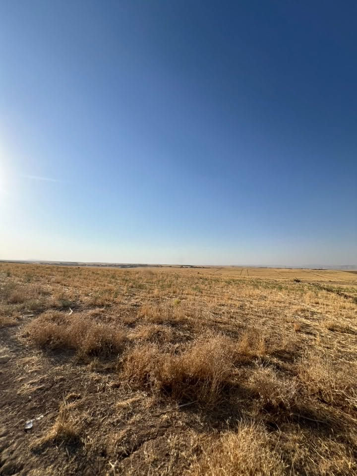 نص دونم للبيع
خلف معمل 🏭 غاز جورج.

قرب الملعب 

وجها   25.    م.   نزال.    44.   م

سند زراعي نموذج 25 حق التصرف سند ابيضّ 

إصدار السند.  2026.   

موقع مميز جدن مكان مرتفع.  

اتجاه قبله تام.  

‏شارع رئيسي    12.  م 

خدمات ماء 💦 كهرباء ⚡️ 200 م.  عن التبليط. 

السعر.   15   مليون بي مجال.   

الاستفسار بل الأرقام. 

***********
***********
