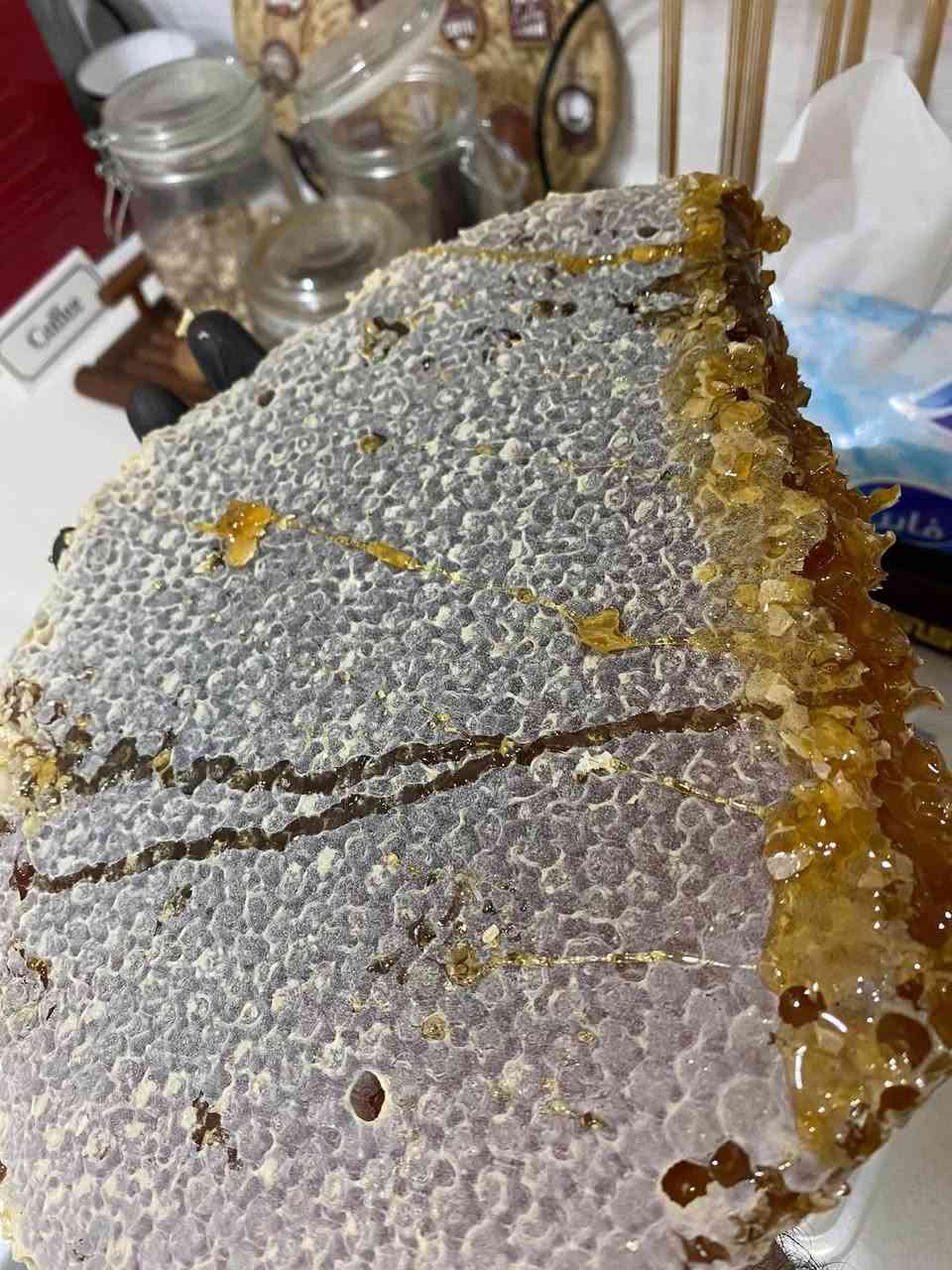 عسل للبيع 🍯 🐝 

قال تعالى

(يَخْرُجُ مِن بُطُونِهَا شَرَابٌ مُّخْتَلِفٌ أَلْوَانُهُ فِيهِ شِفَاءٌ لِّلنَّاسِ)

للشفاء والقوة والتغذية والفيتامينات التي لا تعد ولا تحصى ...

شرط اصلي 100% والله شاهد علينا

السعر 40 للكيلو📌


**إذا كنت صاحب هذا الإعلان وتريد حذفه لأي سبب، رجاءا أرسل رسالة إلى الدعم الفني**