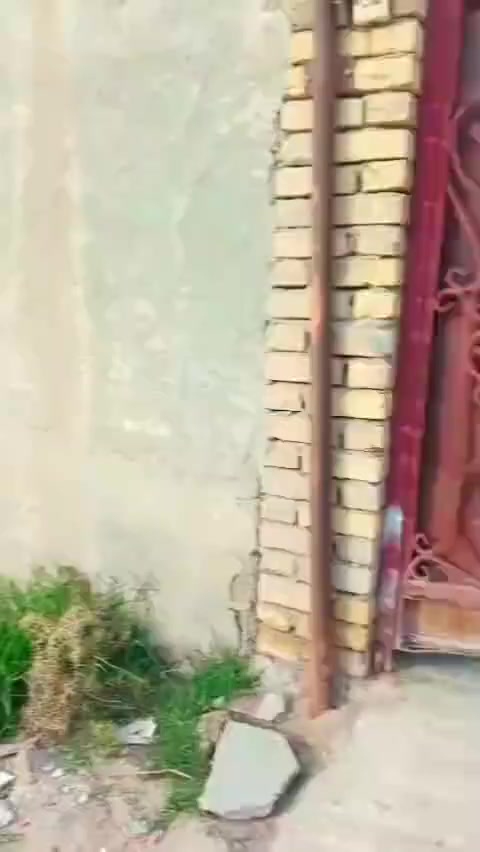 اللهم صل على محمد وآل محمد
دار سكن للبيع 

المساحه  107 متر  خلفي مربع 

المكان الفتاحيه 

البناء عكادة نضيف غرف نوم مطبخ وديوانيه وصاله 

السعر ٦٥ وبي مجال 

البيت خلفي مربع ⬛️ 

للإستفسار مراجعه مكتب الروان للعقار او اتصال 

*********** الروان للعقار  تابع الصفح وشعندك عروض دز خاص او واتساب
