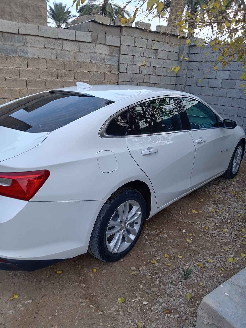 ماليبو lt. 18
باسمي 
105
مكانها. الرمادي
***********
