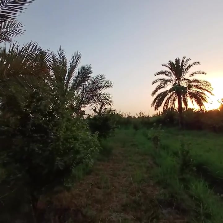 السلام عليكم ✅للبيع دونمين طابو ملك صرف ✅ بغداد البداغيه ✅ تريد دونم او دونمين ماكو شكال ✅ مخدومات بالكامل متوفر ماء سقي وماء اساله وكهرباء ✅اللا ستفسار ✅***********
