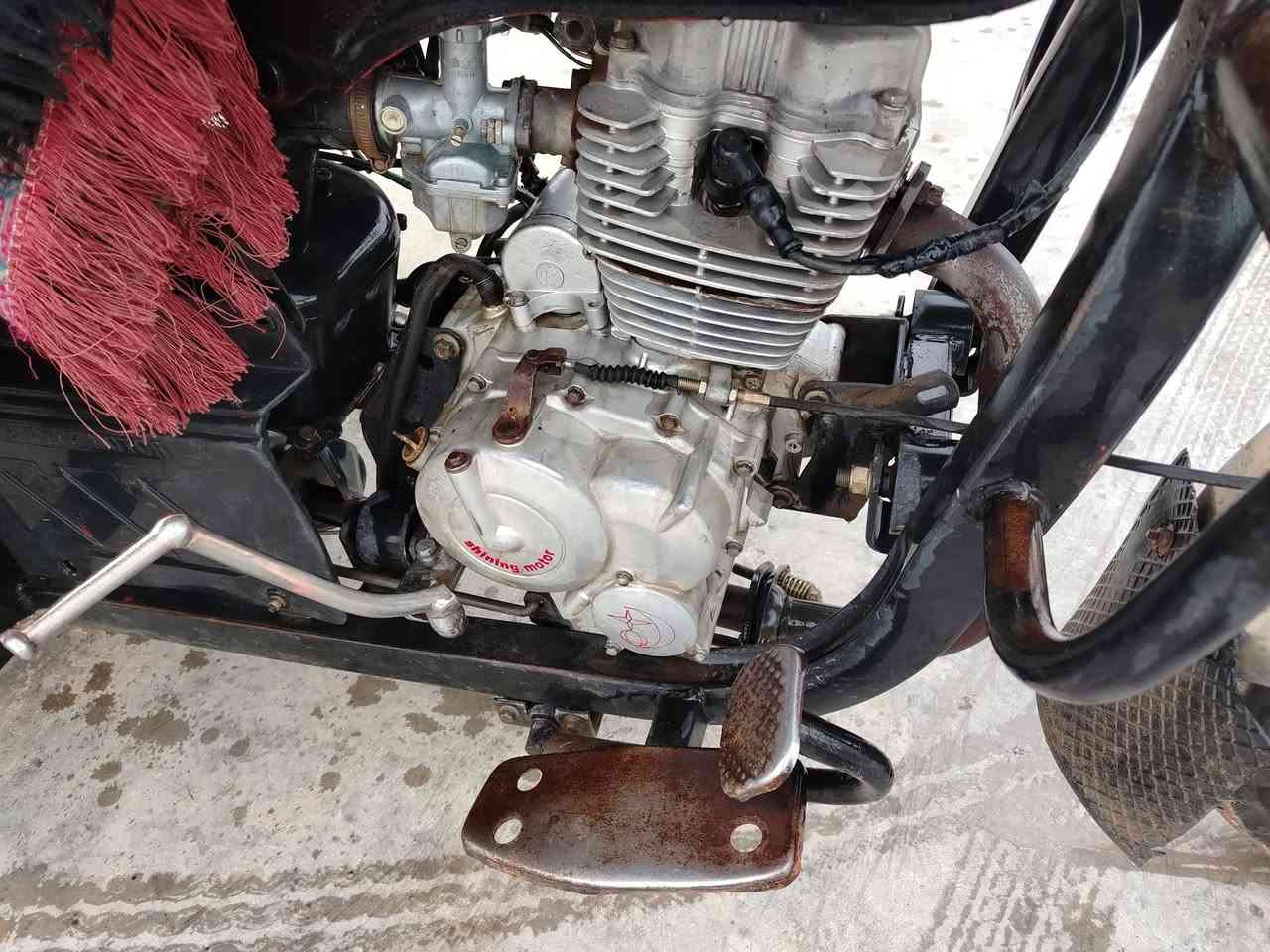 ستوتة ام طير كاتي سليماني  للبيع سعر ٦٧٥بي مجال مكان خانقين رقم ***********
