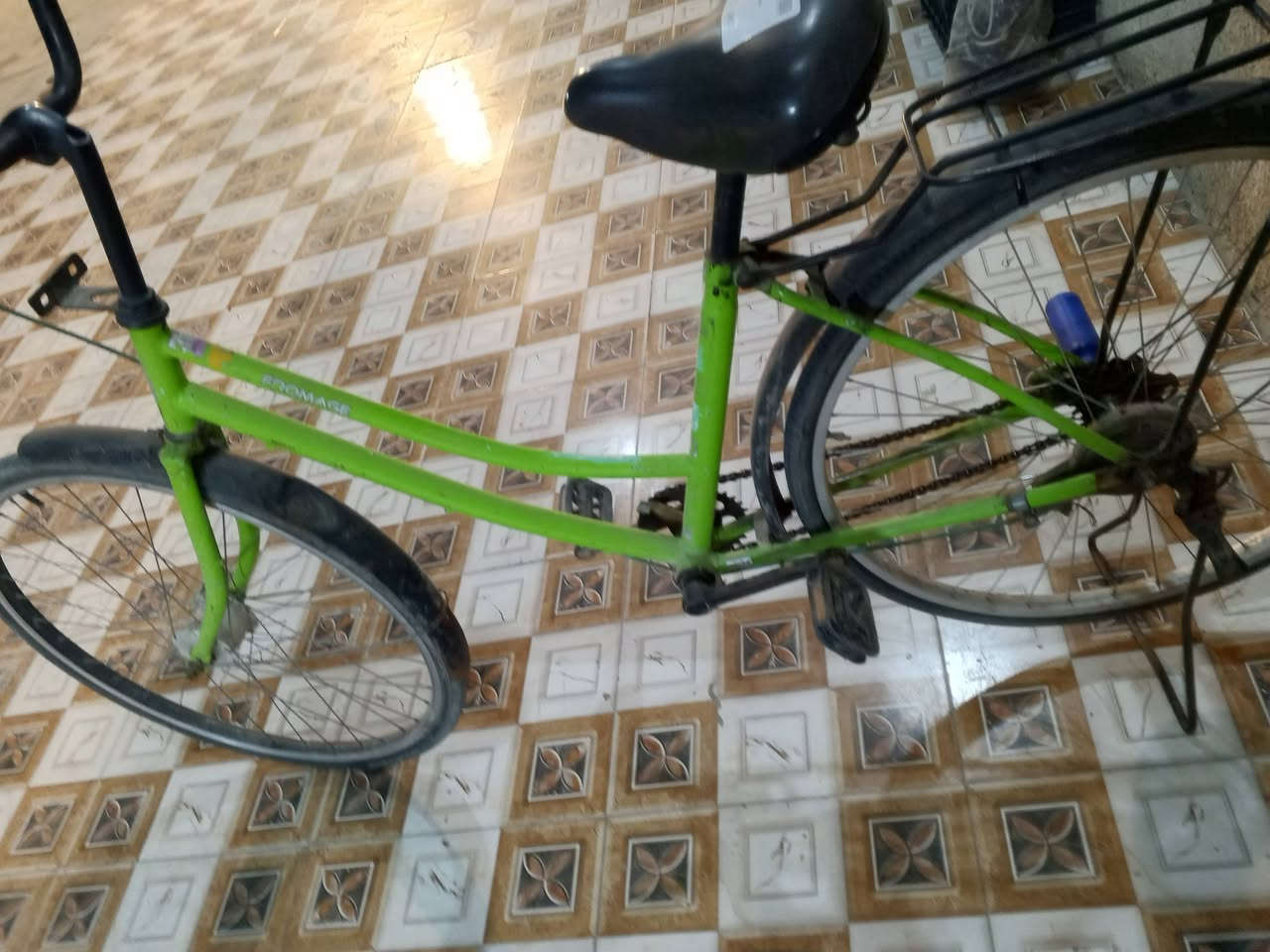 سلام عليكم باسكل للبيع سعر 65وبي مجال العنوان كربلاء الحر


**إذا كنت صاحب هذا الإعلان وتريد حذفه لأي سبب، رجاءا أرسل رسالة إلى الدعم الفني**