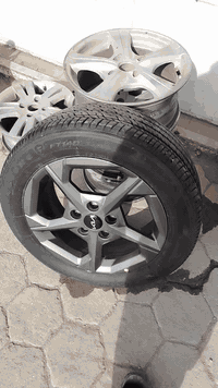 تخم ويل كب سيراتو ٢٥ للبيع او مراوس واسط قضاء الصويره السعر ٣٧٥ ***********
