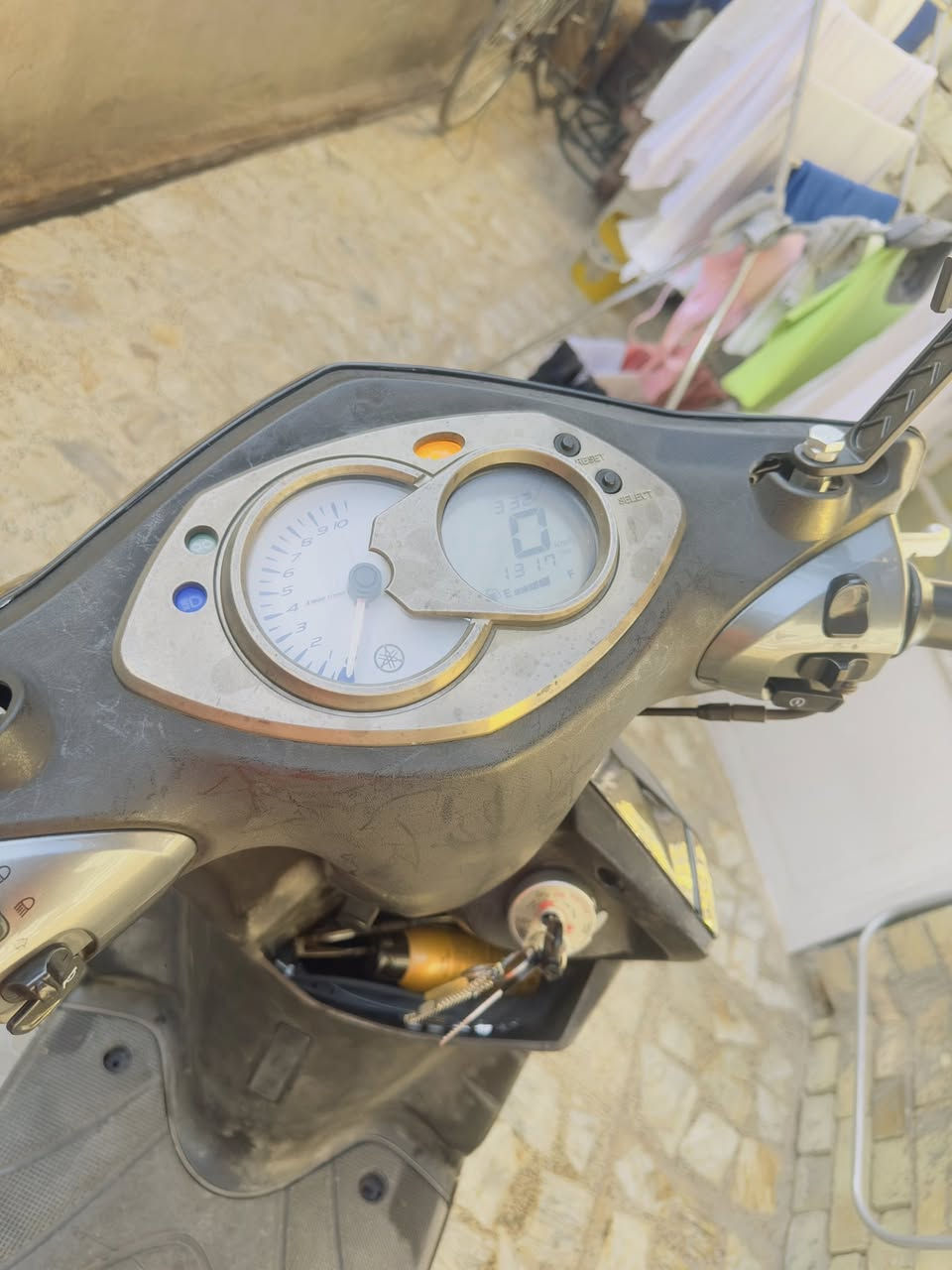 سكنس فحل نوزل خطين قبق مسح نضيفه كلش مكفوله من كلشي مبدل بيها بس زنجيل فقط الباقي مكفول 
منضومه زنون عالي ناصي رماش اشاير لدات هورن سلف نص نكره 
مابيها كل نقص مكاني بغداد الدوره السعر 650 وبيها مجال كلش بسيط ***********
