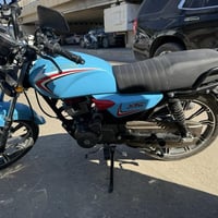 شانييغ • قير ٥ نمر • أوراق كاملة